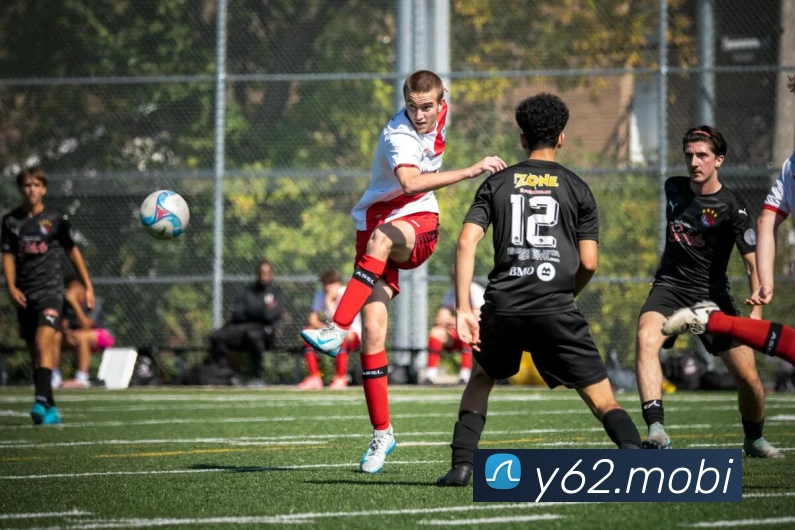 人人体育 - 无插件NBA直播|足球直播|人人体育官方球赛直播平台生态图